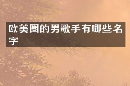 欧美圈的男歌手有哪些名字