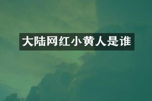 大陆网红小黄人是谁