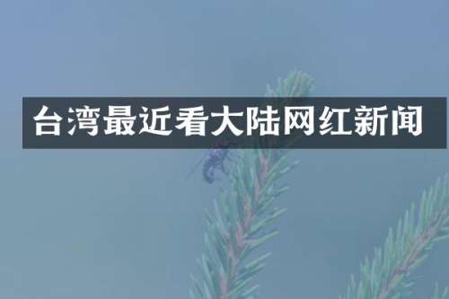台湾最近看大陆网红新闻