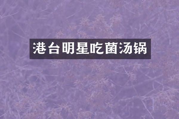 港台明星吃菌汤锅