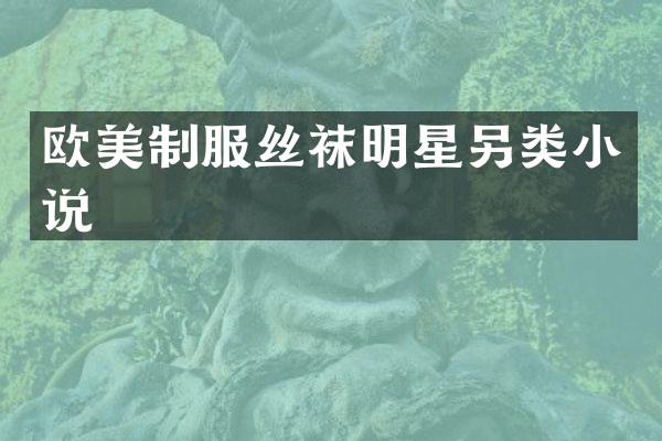 欧美制服丝袜明星另类小说