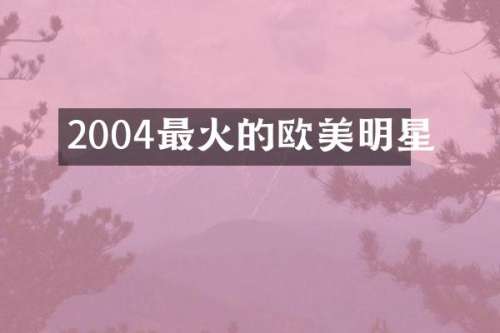 2004最火的欧美明星