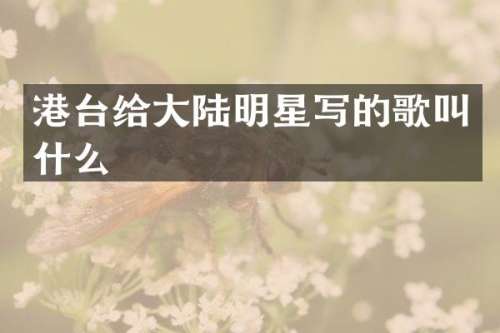 港台给大陆明星写的歌叫什么