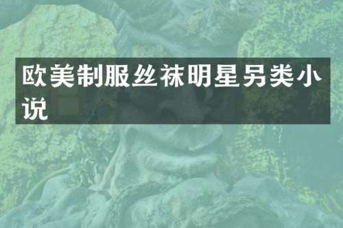欧美制服丝袜明星另类小说