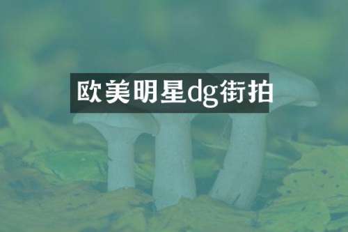 欧美明星dg街拍