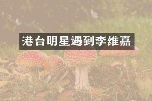 港台明星遇到李维嘉