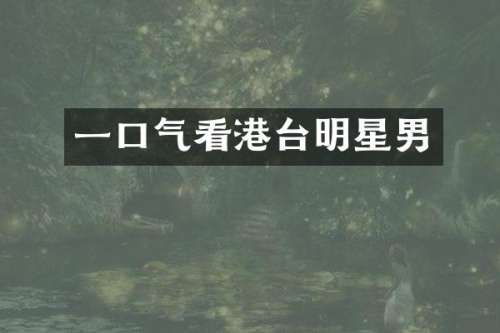 一口气看港台明星男