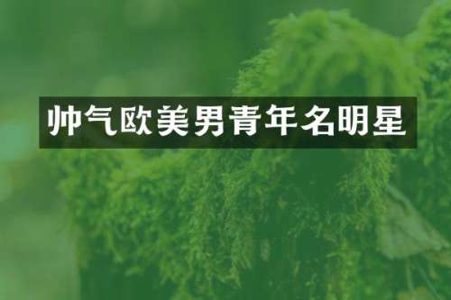 帅气欧美男青年名明星