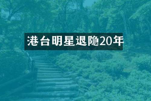 港台明星退隐20年