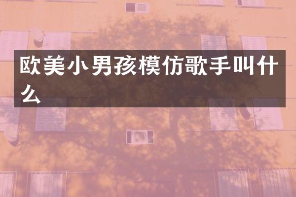 欧美小男孩模仿歌手叫什么