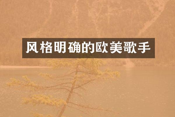风格明确的欧美歌手