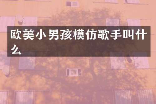 欧美小男孩模仿歌手叫什么