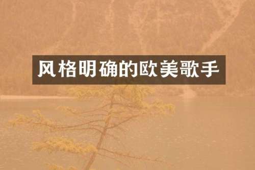 风格明确的欧美歌手
