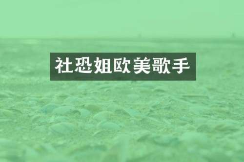 社恐姐欧美歌手