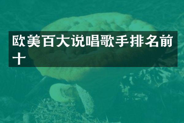 欧美百大说唱歌手排名前十