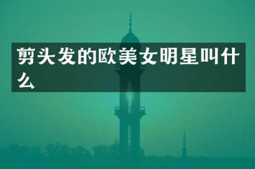剪头发的欧明星叫什么