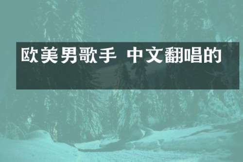 欧美男歌手 中文翻唱的歌