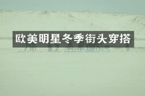 欧美明星冬季街头穿搭