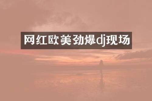 网红欧美劲爆dj现场