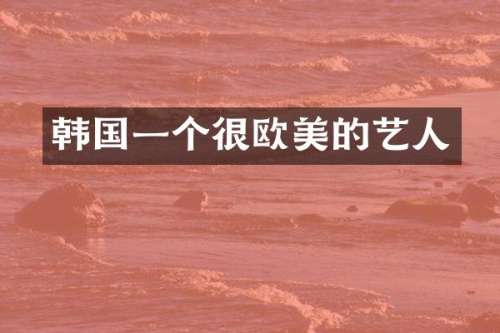 韩国一个很欧美的艺人