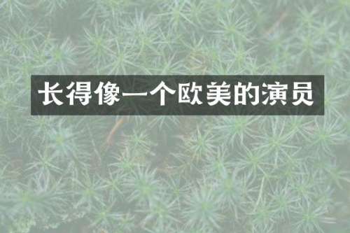 长得像一个欧美的演员