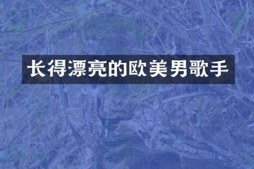 长得漂亮的欧美男歌手