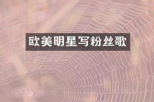 欧美明星写粉丝歌
