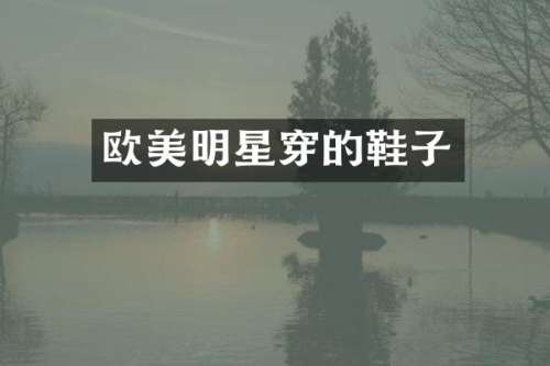 欧美明星穿的鞋子