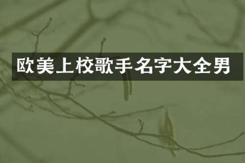 欧美上校歌手名字大全男