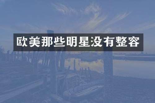 欧美那些明星没有整容
