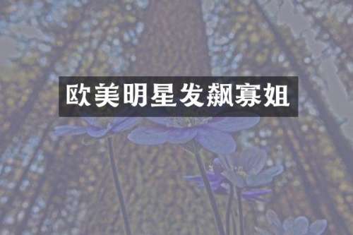 欧美明星发飙寡姐