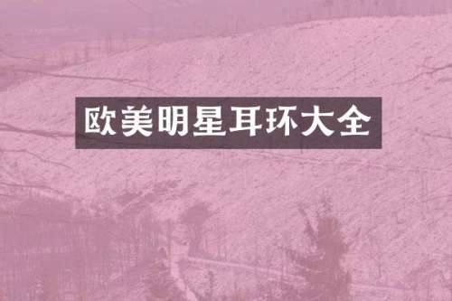 欧美明星耳环大全