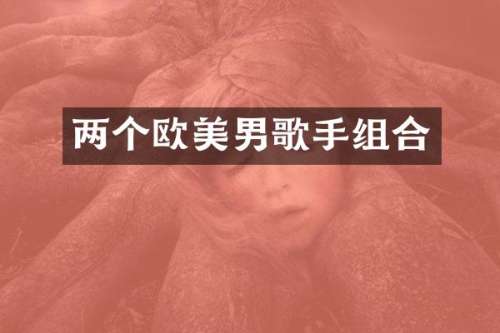 两个欧美男歌手组合