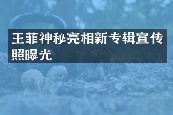 王菲神秘亮相新专辑宣传照曝光