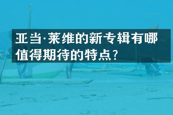 亚当·莱维的新专辑有哪些值得期待的特点？