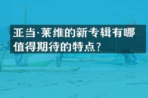 亚当·莱维的新专辑有哪些值得期待的特点？