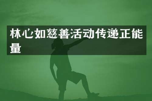 林心如慈善活动传递正能量