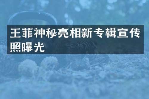 王菲神秘亮相新专辑宣传照曝光