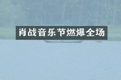 肖战音乐节燃爆全场
