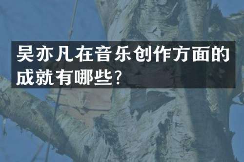 吴亦凡在音乐创作方面的成就有哪些？