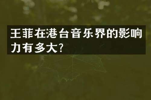 王菲在港台音乐界的影响力有多大？