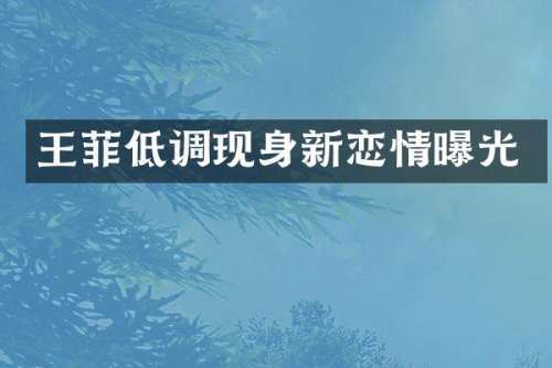 王菲低调现身新恋情曝光