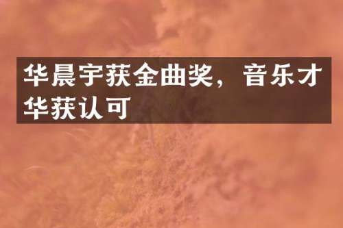 华晨宇获金曲奖，音乐才华获认可