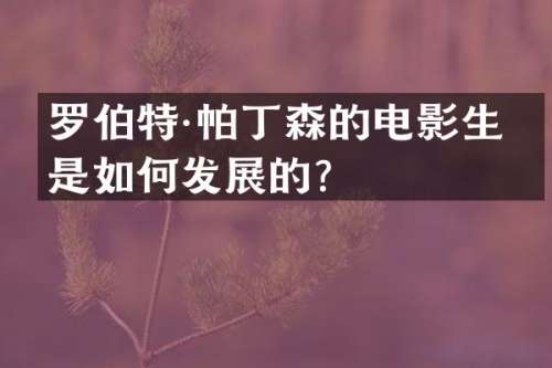 罗伯特·帕丁森的电影生涯是如何发展的？