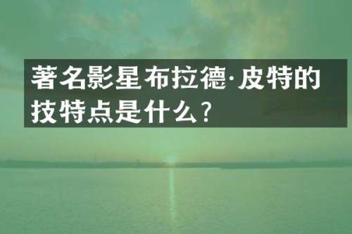 著名影星布拉德·皮特的演技特点是什么？