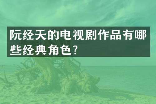 阮经天的电视剧作品有哪些经典角色？