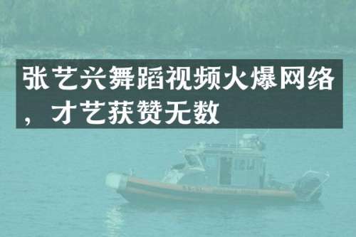 张艺兴舞蹈视频火爆网络，才艺获赞无数
