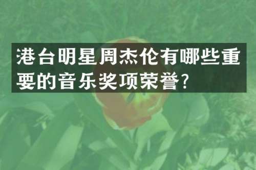 港台明星周杰伦有哪些重要的音乐奖项荣誉？