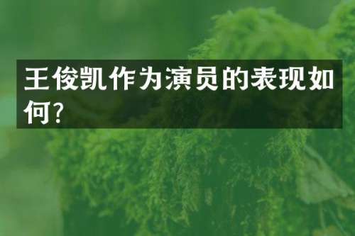 王俊凯作为演员的表现如何？