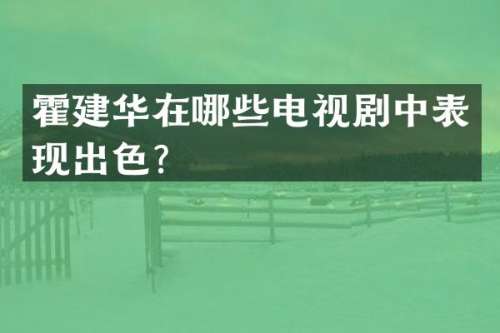 霍建华在哪些电视剧中表现出色？